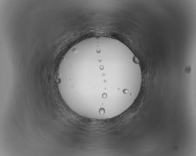 X0000112770913200908201346