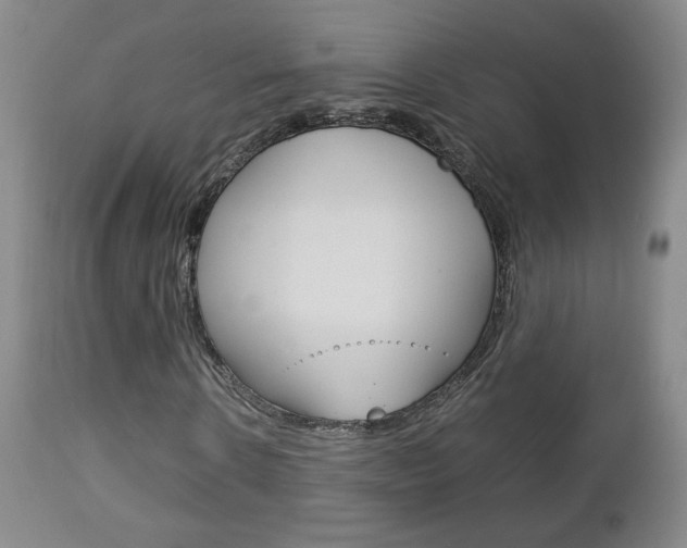 X0000112770914200908201346