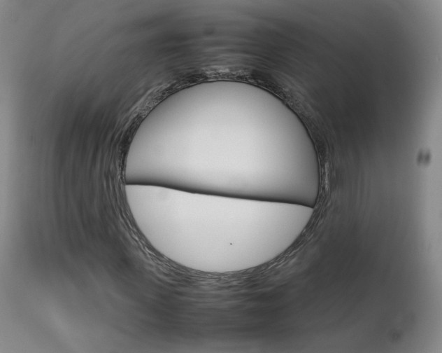 X0000112770915200908201346