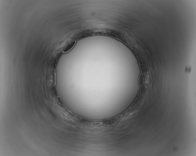 X0000112770916200908201346