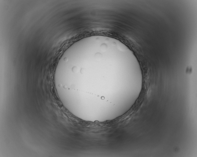 X0000112770917200908201346