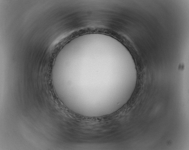 X0000112770919200908201346