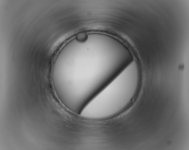 X0000112770922200908201346