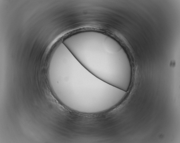 X0000112770923200908201346