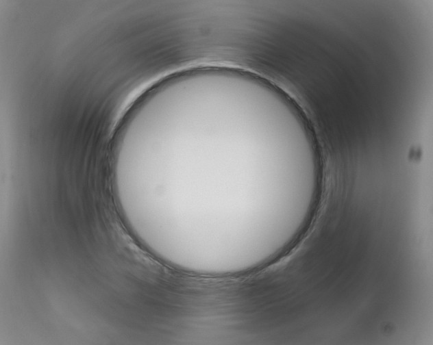 X0000112770926200908201346