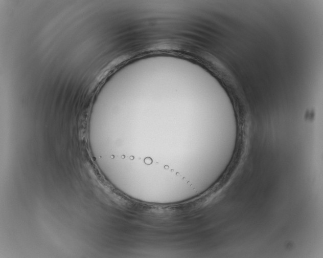 X0000112770929200908201346