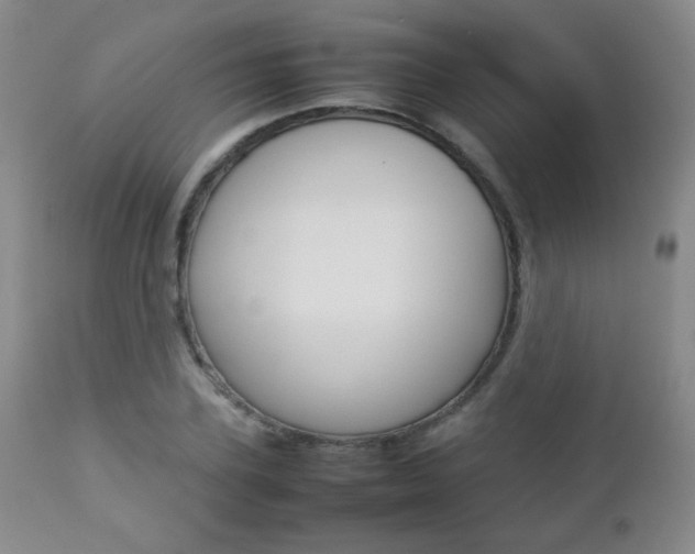 X0000112770931200908201346
