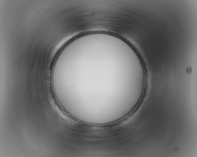 X0000112770933200908201347