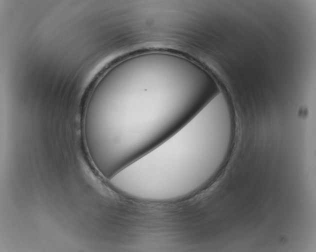 X0000112770934200908201347