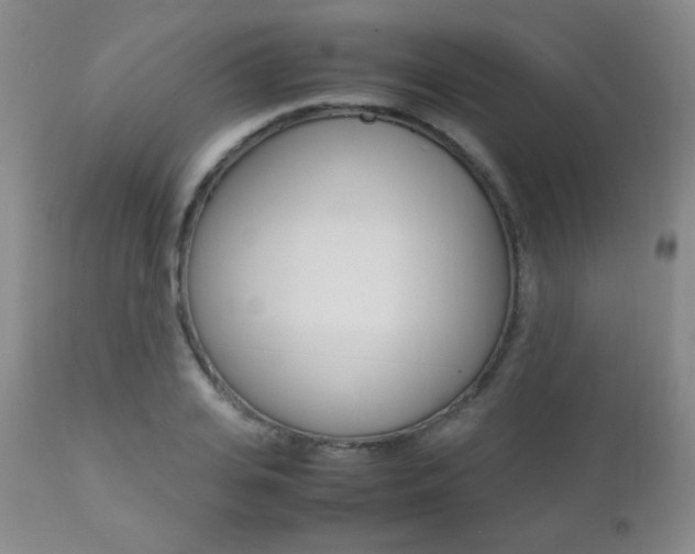 X0000112770935200908201347