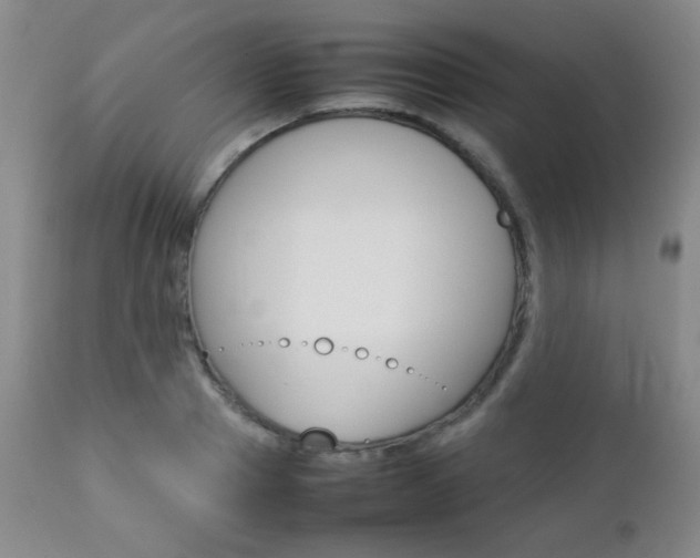 X0000112770937200908201347