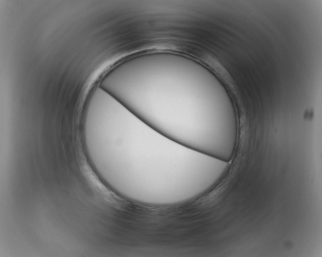 X0000112770939200908201347