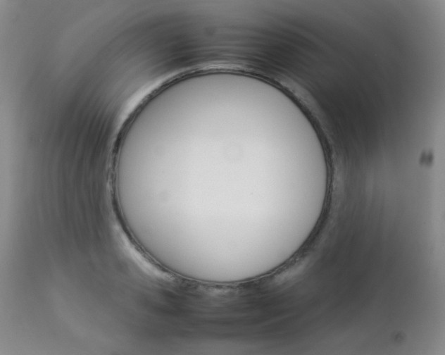 X0000112770941200908201347
