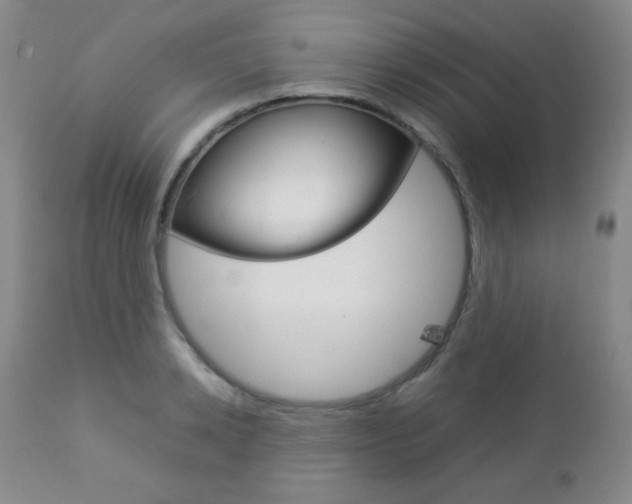 X0000112770942200908201347