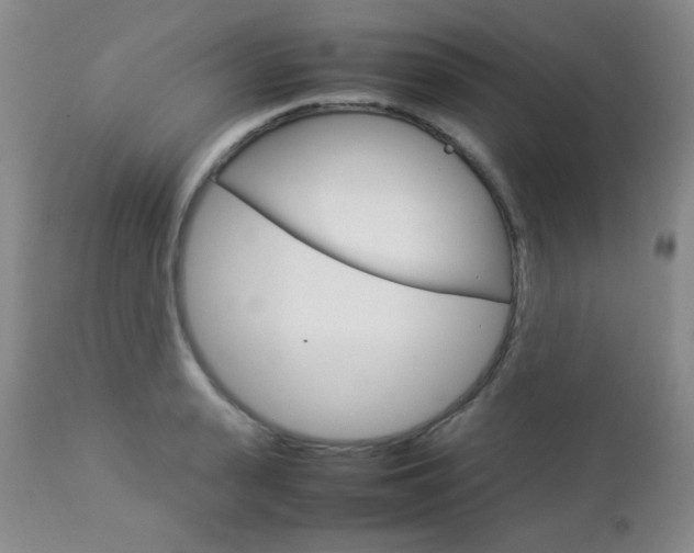 X0000112770943200908201347