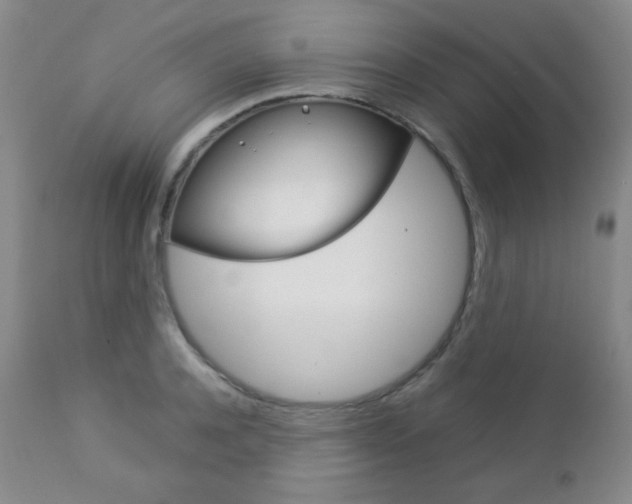 X0000112770944200908201347