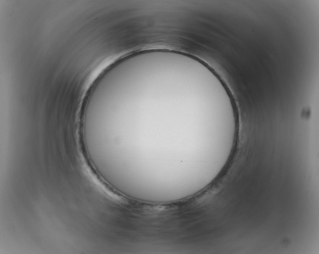X0000112770949200908201347