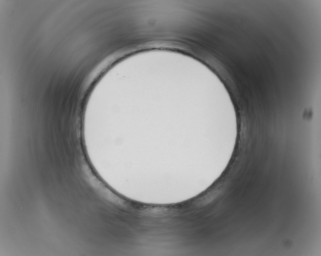 X0000112770950200908201347