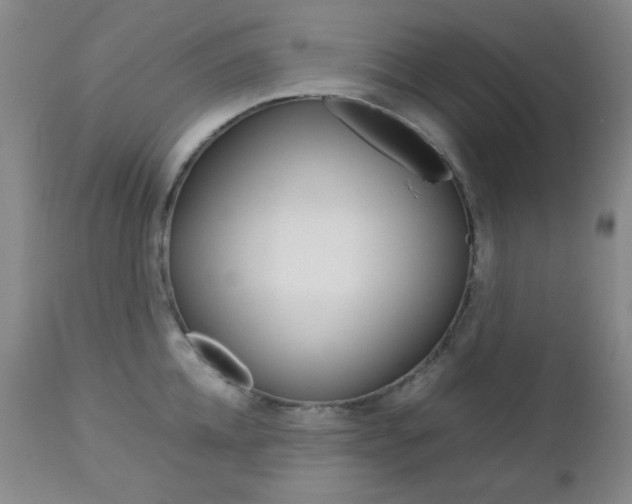 X0000112770952200908201347