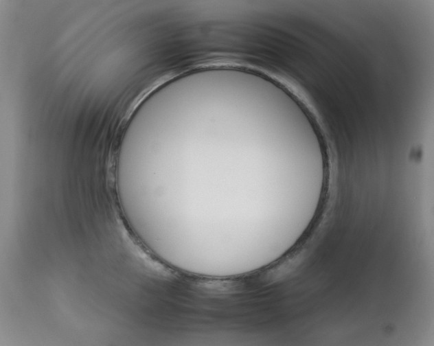 X0000112770953200908201347