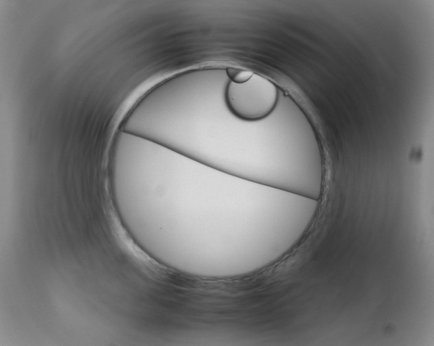 X0000112770955200908201347