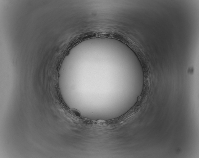 X0000112770961200908201346
