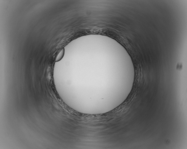 X0000112770962200908201346