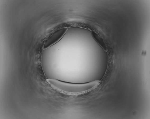 X0000112770965200908201346