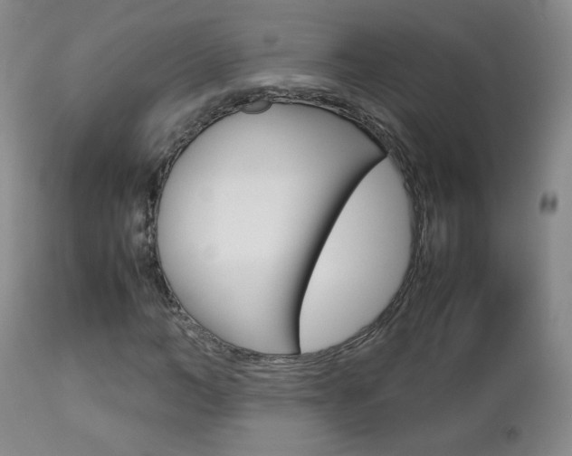 X0000112770966200908201346