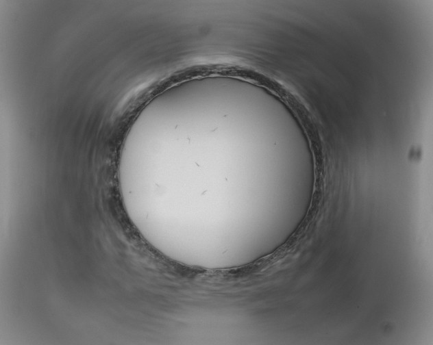 X0000112770967200908201346