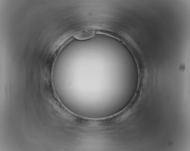 X0000112770969200908201346