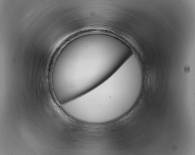 X0000112770972200908201346