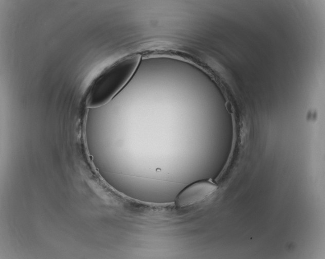 X0000112770973200908201346