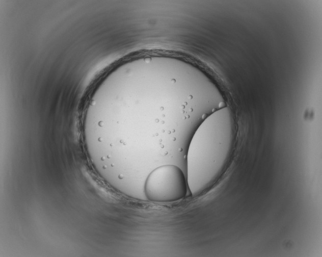 X0000112770974200908201346