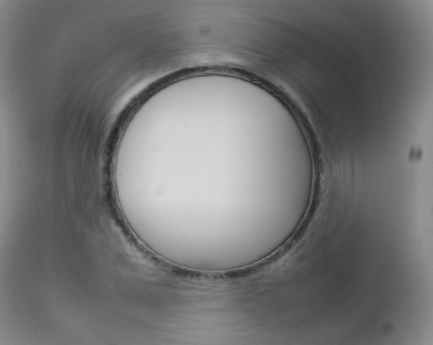 X0000112770975200908201346