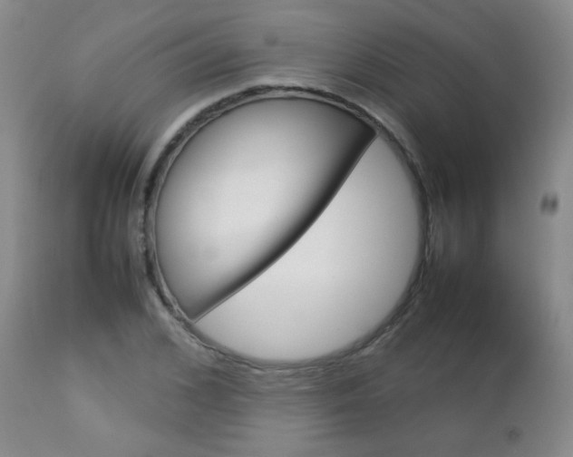 X0000112770976200908201346