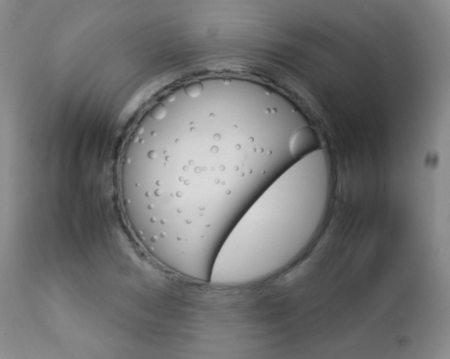 X0000112770978200908201346