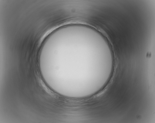 X0000112770981200908201346