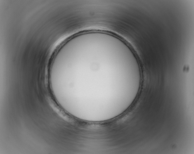 X0000112770982200908201346