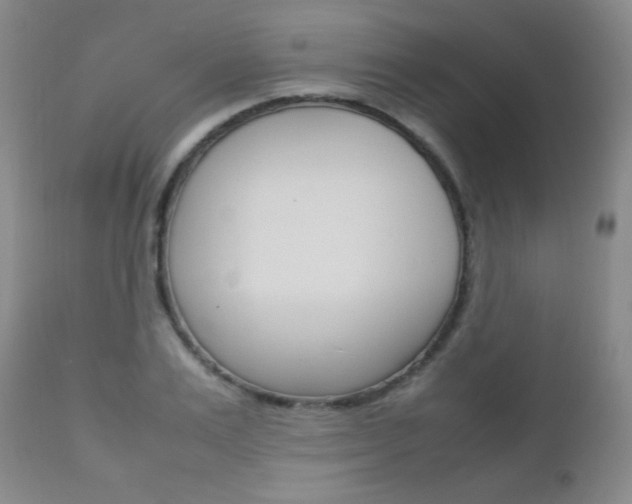X0000112770983200908201346