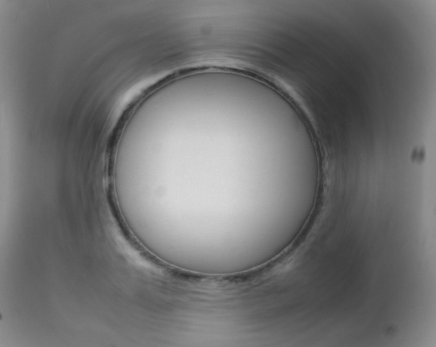 X0000112770987200908201346