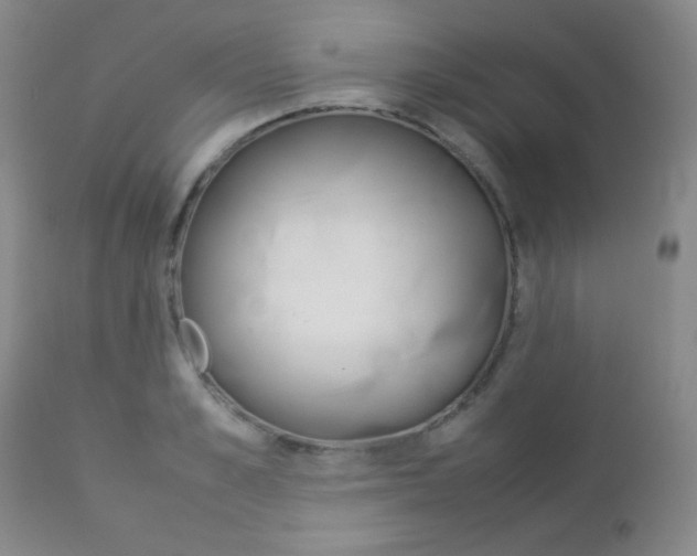 X0000112770989200908201346