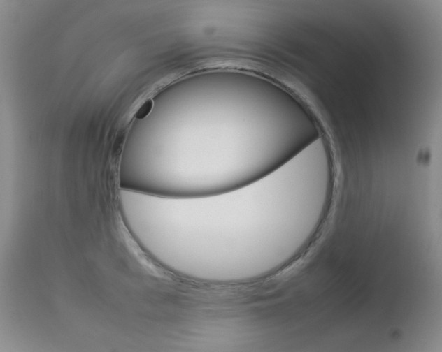 X0000112770993200908201346