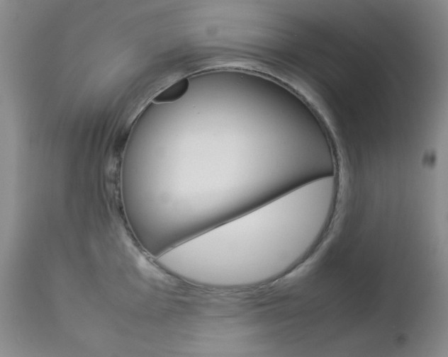X0000112771001200908201346
