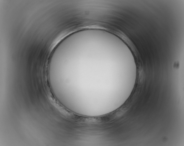 X0000112771002200908201346