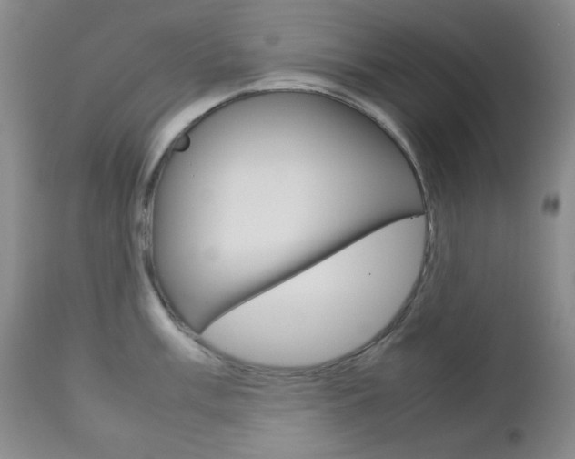 X0000112771003200908201346