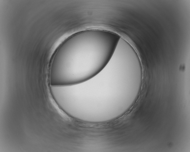X0000112771005200908201346