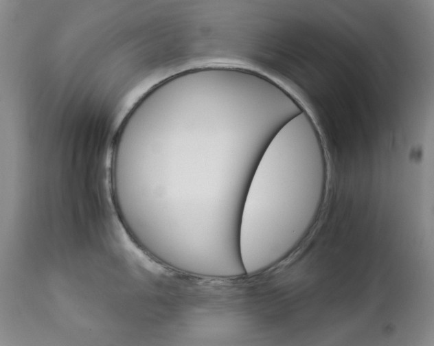 X0000112771006200908201346
