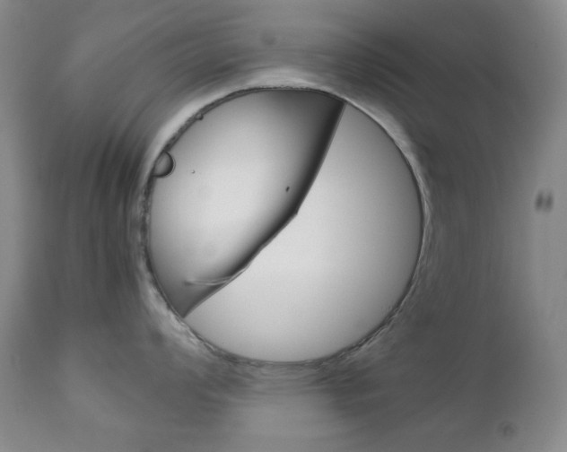 X0000112771008200908201346