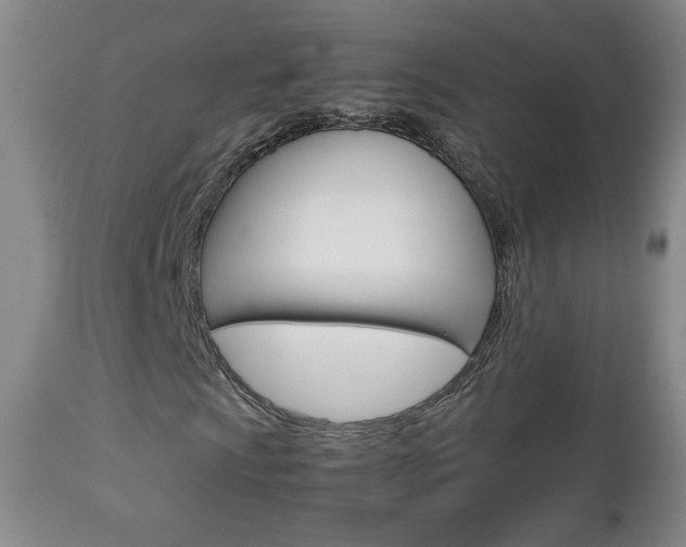 X0000112771009200908201345